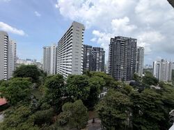 Pandan Valley (D21), Condominium #596630441